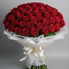 Букет 101 Красная роза Блэк Мэджик в Каче