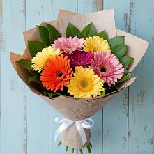Букет цветов из:  Герберы в Каче