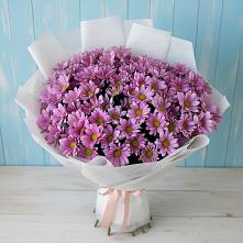 Букет цветов из:  Хризантемы #REPLACE_PRED# Каче