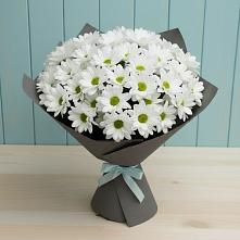 Букет цветов из:  Хризантемы #REPLACE_PRED# Каче
