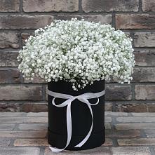 Цветочная композиция из Гипсофила в шляпной коробке в Каче