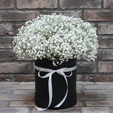Цветочная композиция из Гипсофила в шляпной коробке в Каче
