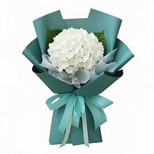 Букет цветов из:  Гортензия в Каче